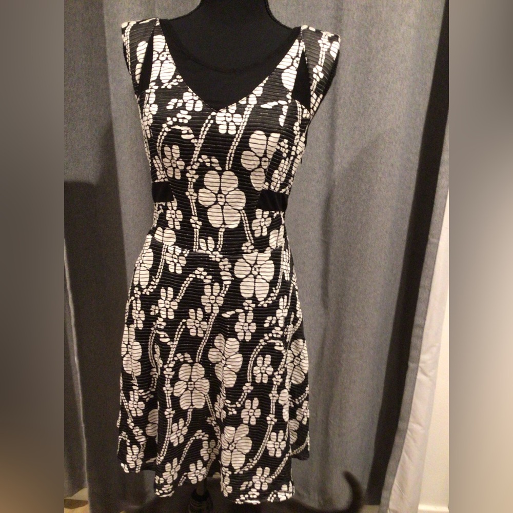 Betsey Johnson Black and white Stretchy, illusion panel, vneck dress Size 10